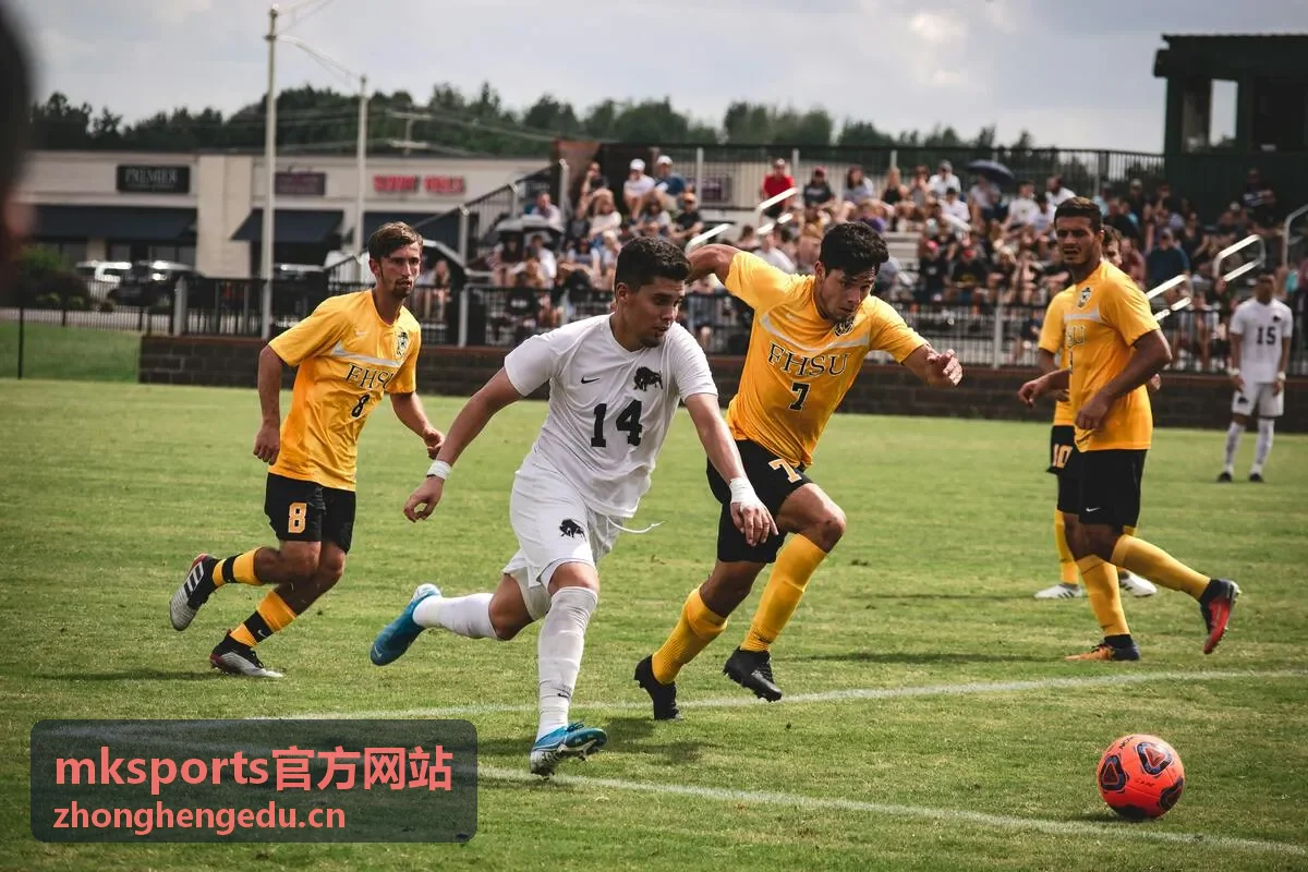 mksports官方网站 运动装备选购指南
