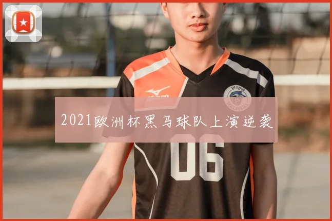 2021欧洲杯黑马球队上演逆袭