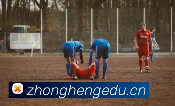 hth网页版官方入口服务体系